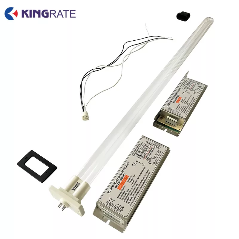 U-förmige UV-Lampe